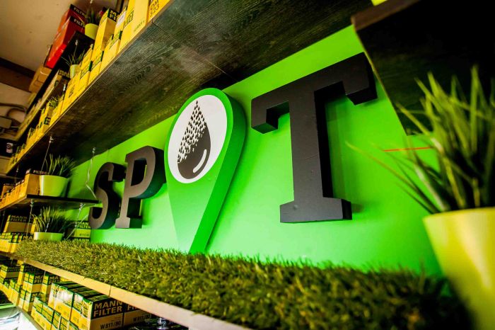 spot